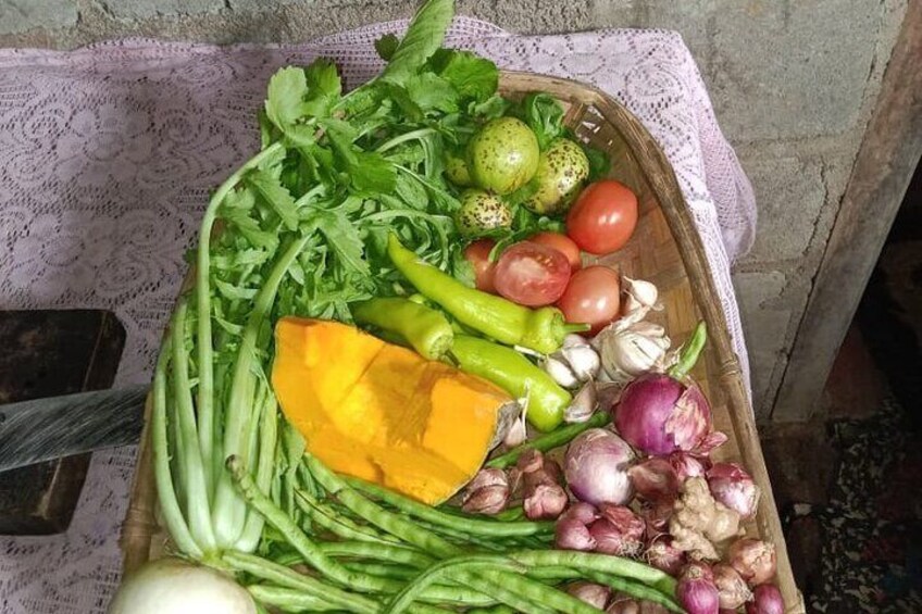 Fresh vegetables