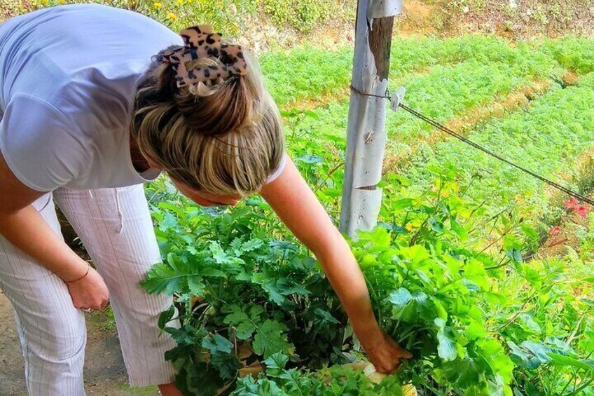 Sri Lankan Traditional Home Garden Cooking Class And Restaurant
