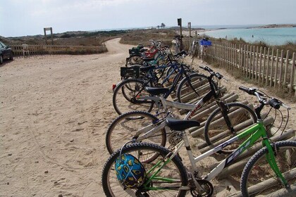 Ibiza Formentera Bike Tour with Transfer and Fast Ferry