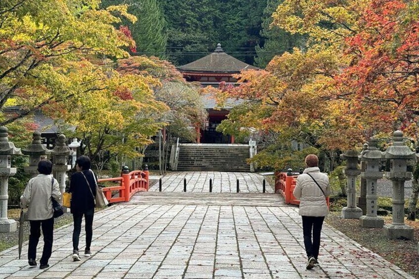 Koyasan Day Trip with Guide From Osaka