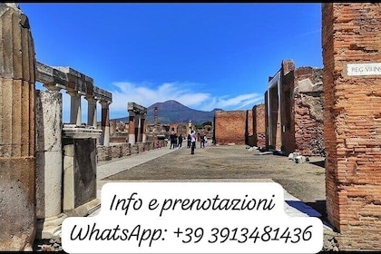 Private Tour of Pompeii with Archaeologist