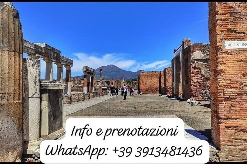 Private Tour of Pompeii with Archaeologist