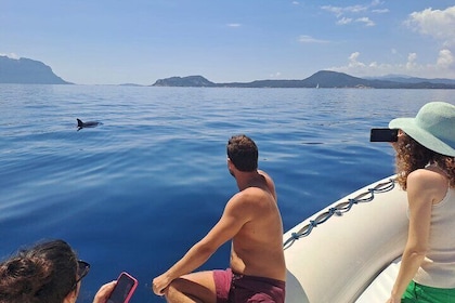 Sailing Boat Tour in the Gulf of Olbia with Lunch on board