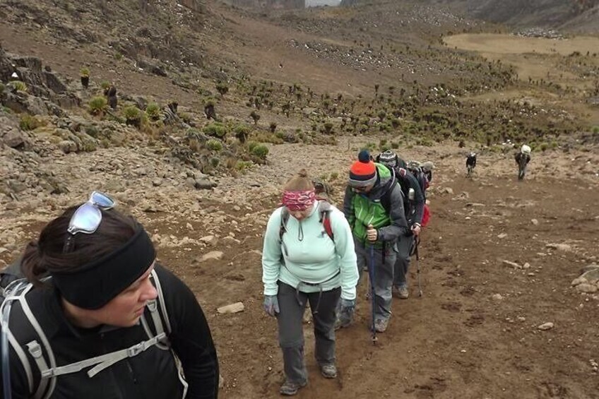 4 Days Mt Kenya Naro Moru Route