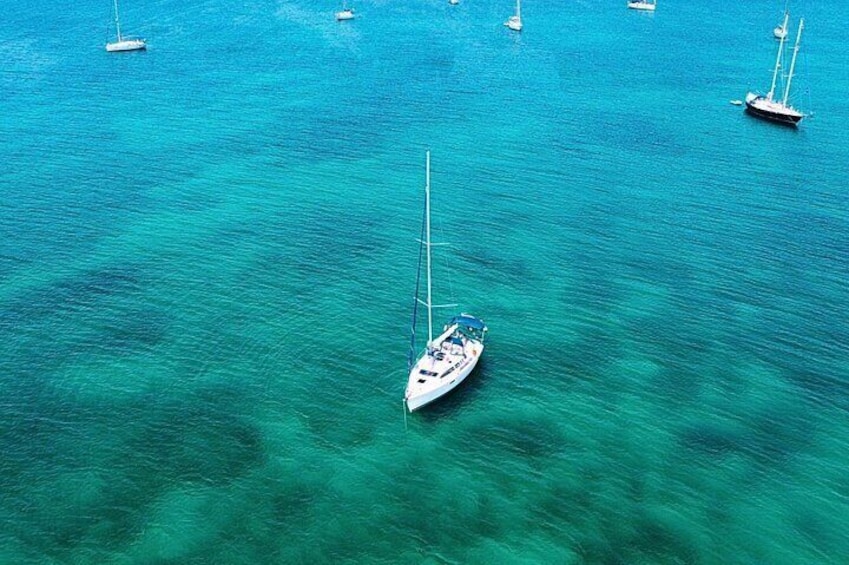 Sailing Tour in the Porto Conte Park from Alghero