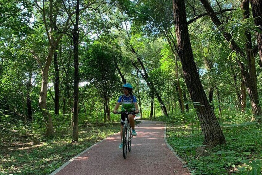 Riverside Cycling with a Native 