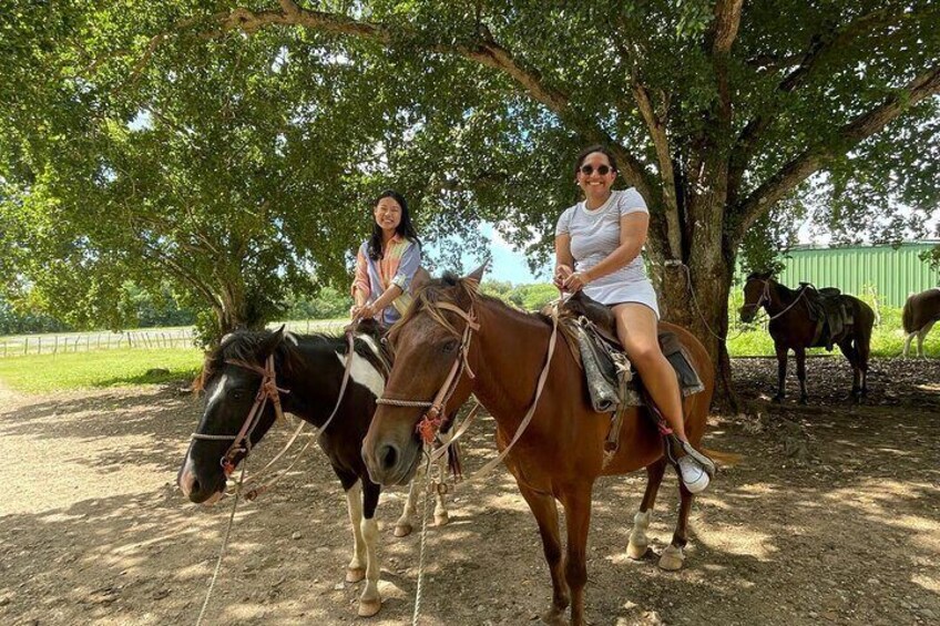 Horseback Riding and Taíno Cave Exploration 