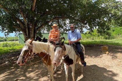 Horseback Riding and Taíno Cave Exploration