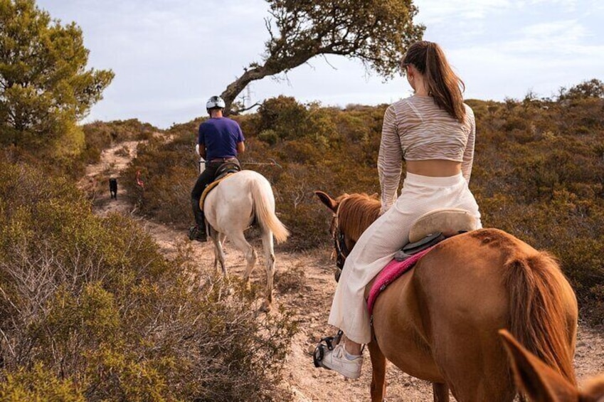 Castelsardo Horseback in Sedini