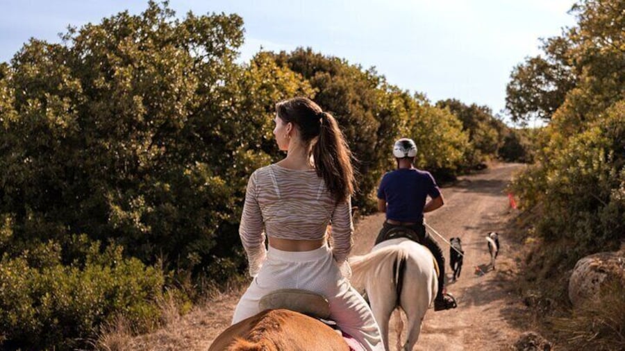 Castelsardo Horseback in Sedini