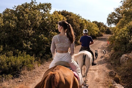 Castelsardo Horseback in Sedini