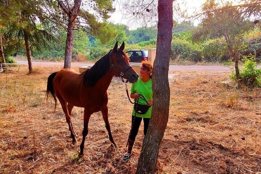 Castelsardo Horseback in Sedini