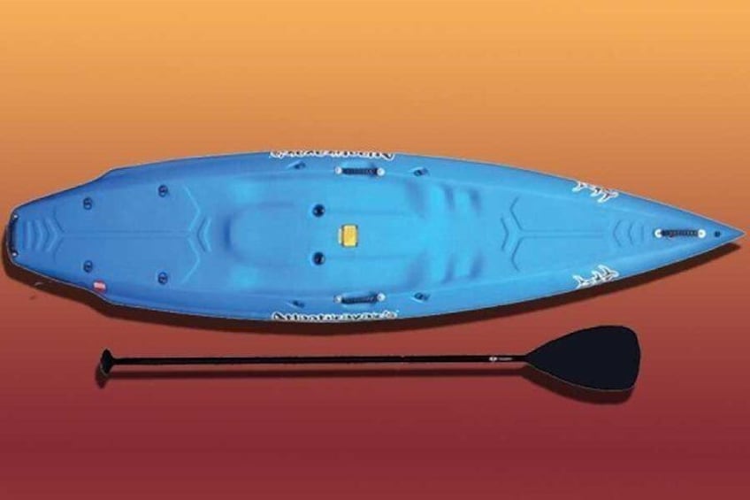 Rent of Stand Up Paddle in Lake Moreno