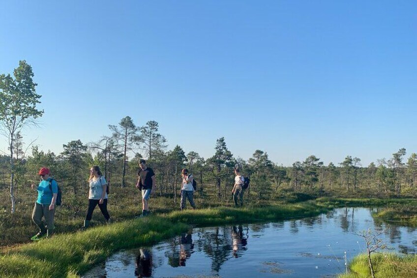 Riga Bog Shoe Tour in Kemeri National Park with a Picnic