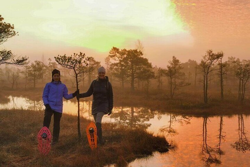 Riga Bog Shoe Tour in Kemeri National Park with a Picnic