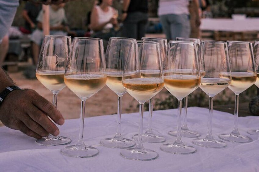Castelsardo Vineyard and Wine Tasting Experience with Sunset