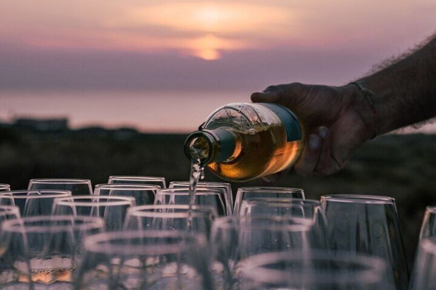 Castelsardo Vineyard and Wine Tasting Experience with Sunset