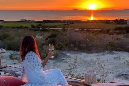 Castelsardo Vineyard and Wine Tasting Experience with Sunset