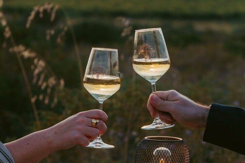 Castelsardo Vineyard and Wine Tasting Experience with Sunset