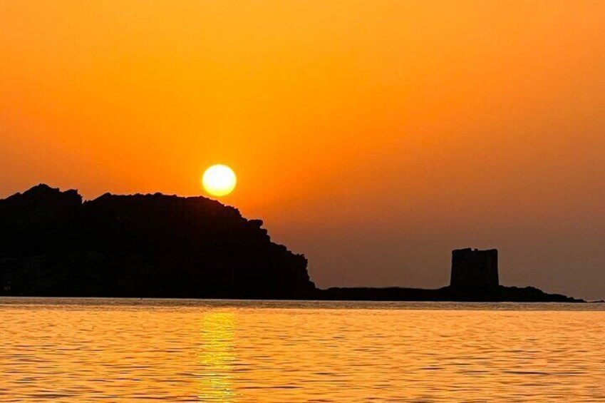 From Stintino Sunset Catamaran Tour in the Gulf of Asinara