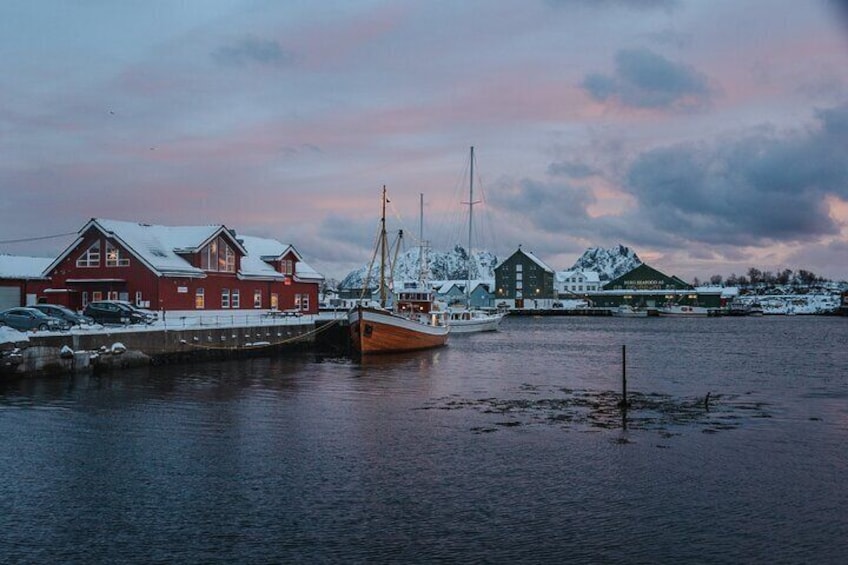 Half Day Lofoten Scenic Sightseeing Tour 