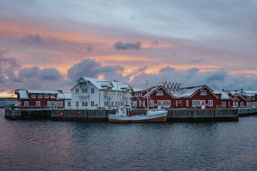 Half Day Lofoten Scenic Sightseeing Tour 