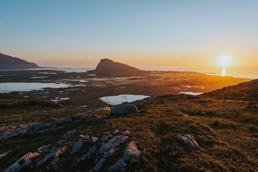 Half Day Lofoten Scenic Sightseeing Tour 