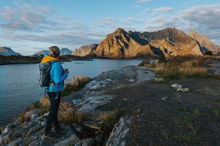 Half Day Lofoten Scenic Sightseeing Tour 