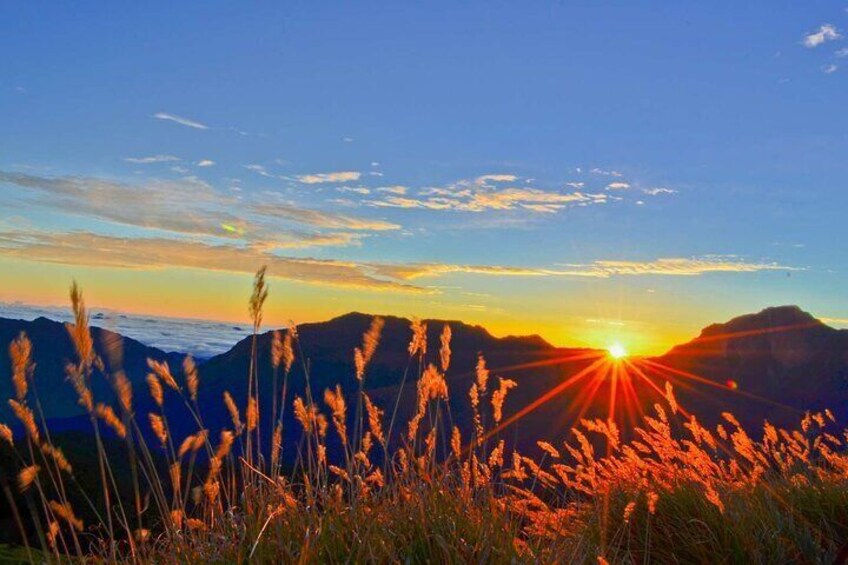 Hehuan Mountain Sunrise or Half-Day Tour from Qingjing Farm