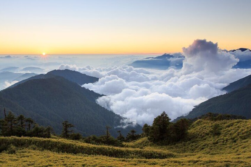 Hehuan Mountain Sunrise or Half-Day Tour from Qingjing Farm