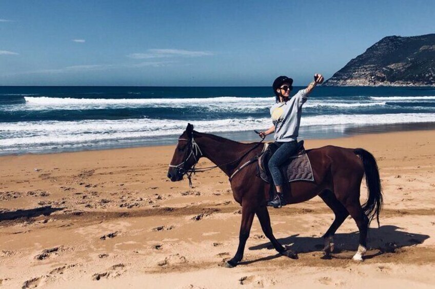 Horseback Riding for Experts in Lake Baratz from Alghero