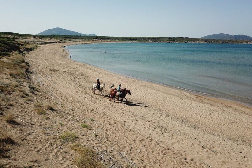 Horseback Riding for Experts in Lake Baratz from Alghero