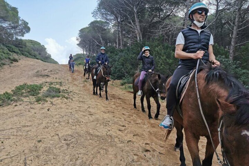 Horseback Riding for Experts in Lake Baratz from Alghero