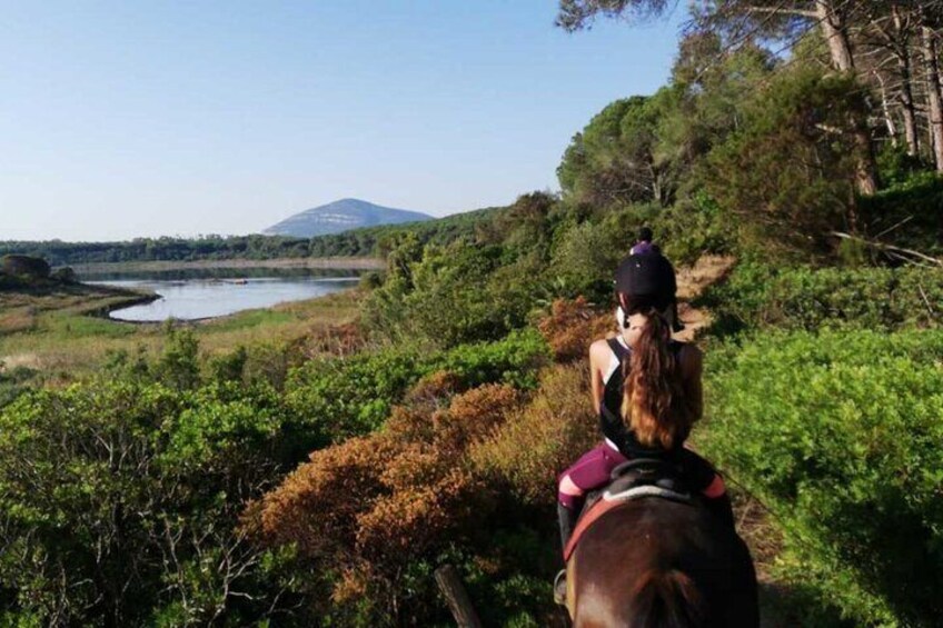 Horseback Riding for Experts in Lake Baratz from Alghero