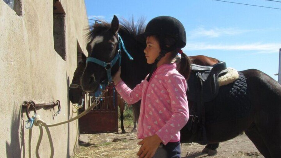 Castelsardo: horseback for children in Sedini