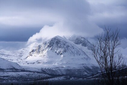 Tromsø Private Authentic Arctic Fjord And Nature