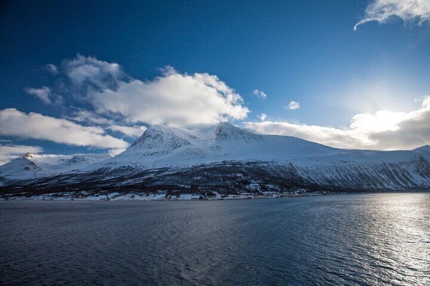 Tromsø Private Authentic Arctic Fjord And Nature