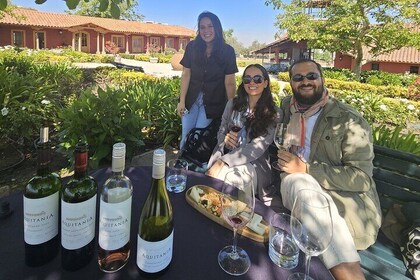 Private Maipo Valley Wine Experience: 2 Premium Wineries & Lunch