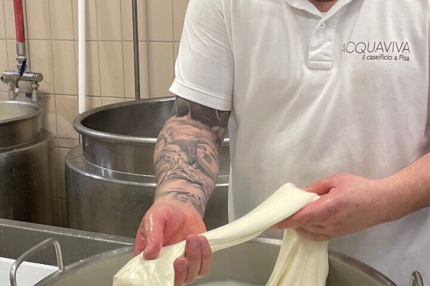 Pisa Semi private Cheese Making & tasting experience
