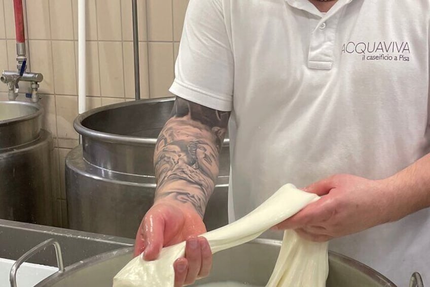 Pisa Semi private Cheese Making & tasting experience