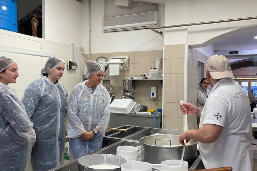 Pisa Semi private Cheese Making & tasting experience