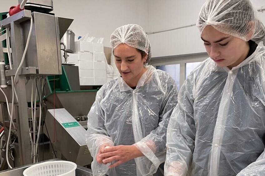 Pisa Semi private Cheese Making & tasting experience