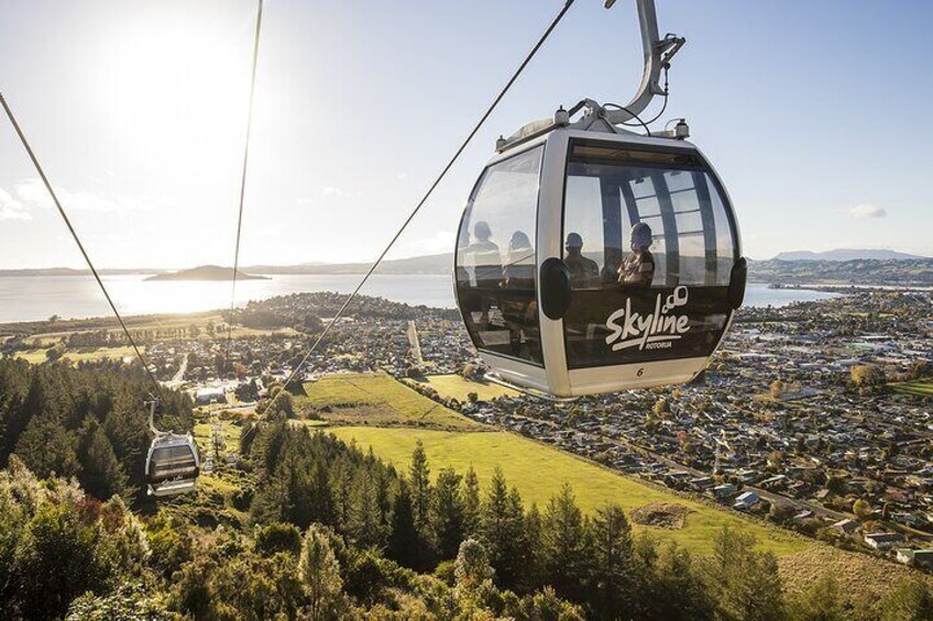 Rotorua Private Tour from Tauranga 