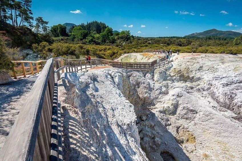 Tauranga Shore Excursion Wai-O-Tapu Thermal Wonderland