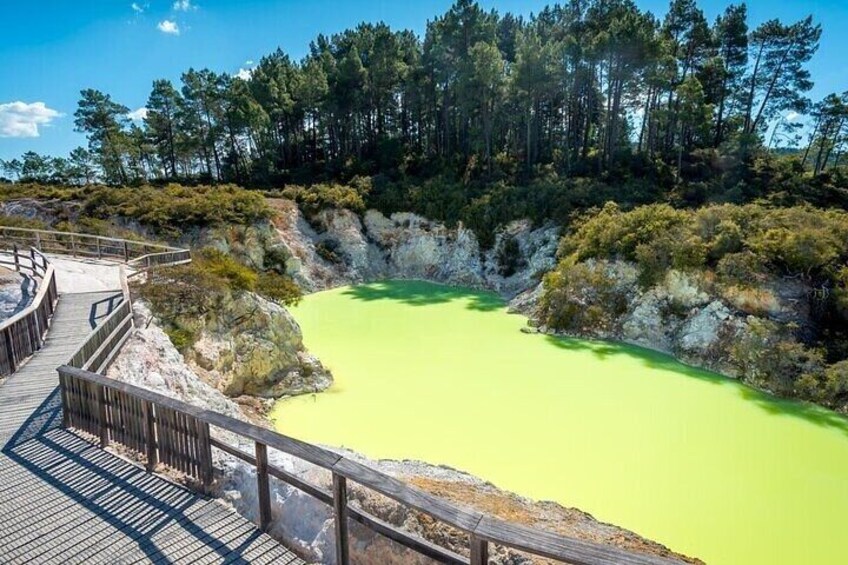 Tauranga Shore Excursion Wai-O-Tapu Thermal Wonderland