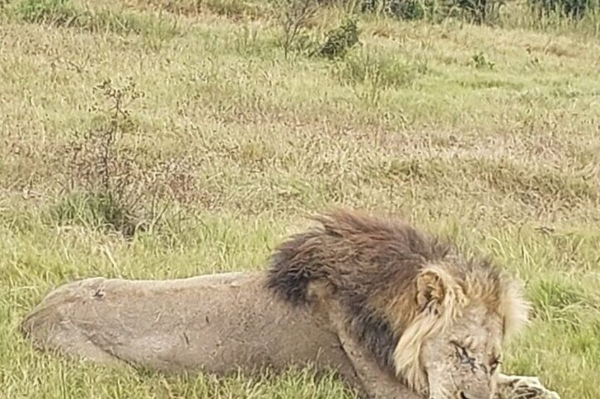 Addo Elephant Park with Big Five Safaris