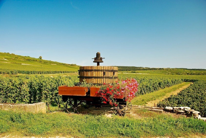 Dijon Wine Tours : Côte de Beaune Half-day 