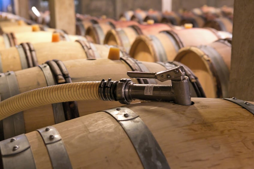 Dijon Wine Tours : Côte de Beaune Half-day 