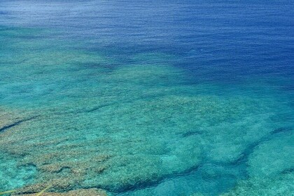 Okinawa Classic Highlights & Flexible Routes: Private Tour