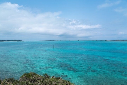 Design Your Day: Private Okinawa Tour with 100% Personalization